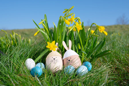 Easter spring holiday, bunny or rabbit couple, colored eggs, daffodil flowers meadow, nest in...