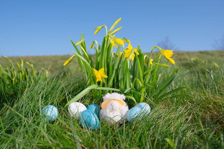 sheep or lamb, colored eggs, daffodil flowers meadow, nest in garden, springtime season, sunny day,...