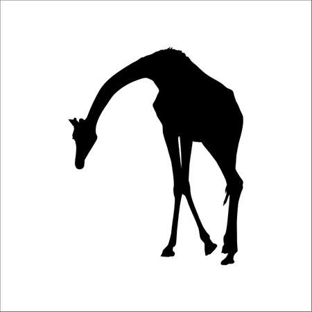 Giraffe Silhouette for Logo or Graphic Design Element. Vector Illustrationのイラスト素材