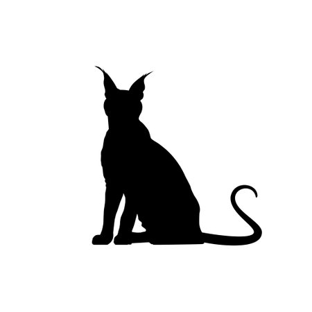 Caracal Cat Silhouette for Art Illustration, Logo, Pictogram, Website or Graphic Design Element. Vector Illustrationのイラスト素材