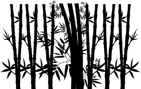 Bamboo Silhouettes for Art Illustration, Background, Decoration, Ornate, Website or Graphic Design Element. Vector Illustrationのイラスト素材