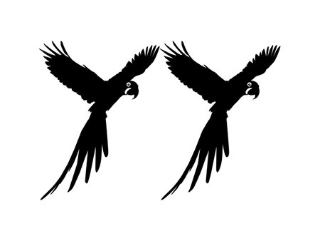 Flying Macaw Bird Silhouette for Logo, Pictogram, Art Illustration, Website or Graphic Design Element. Vector Illustrationのイラスト素材