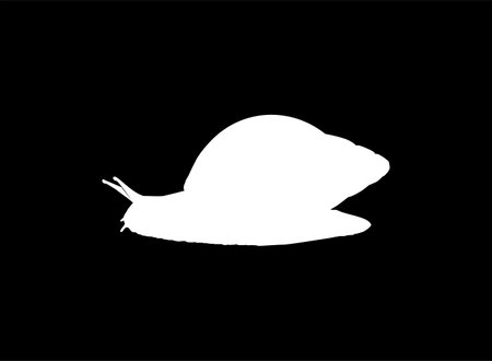 Snails are also called Escargot Silhouette for Logo, Art Illustration, Apps, Website or Graphic Design Element. Vector Illustrationのイラスト素材