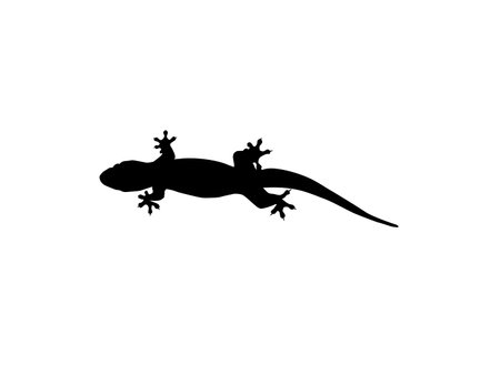 House Lizard also called House Gecko or Gekkonidae Silhouette for Art Illustration, Logo, Pictogram or Graphic Design Element. Vector Illustrationのイラスト素材