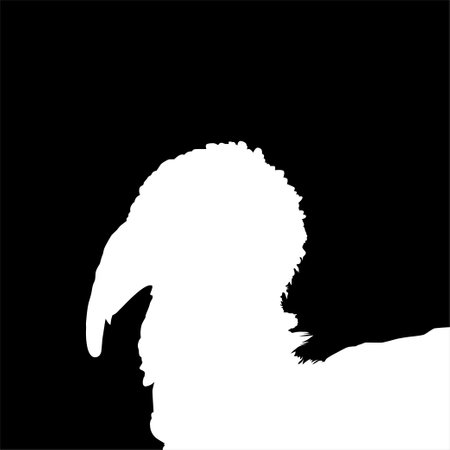 Turkey Head Silhouette for Art Illustration, Pictogram or Graphic Design Element. The Turkey is a large bird in the genus Meleagris. Vector Illustrationのイラスト素材