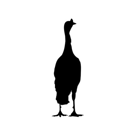 Turkey Silhouette for Art Illustration, Pictogram or Graphic Design Element. The Turkey is a large bird in the genus Meleagris. Vector Illustrationのイラスト素材