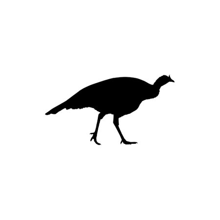 Turkey Silhouette for Art Illustration, Pictogram or Graphic Design Element. The Turkey is a large bird in the genus Meleagris. Vector Illustrationのイラスト素材