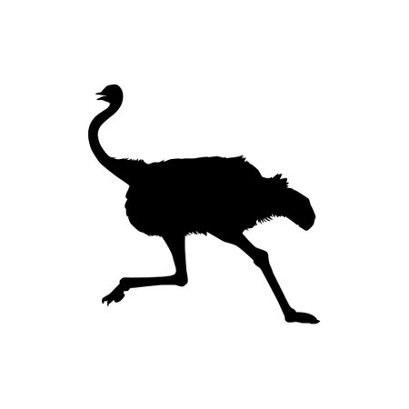 Ostrich Isolated Silhouette for Logo, Pictogram, Art Illustration or Graphic Design Element. Vector Illustrationのイラスト素材