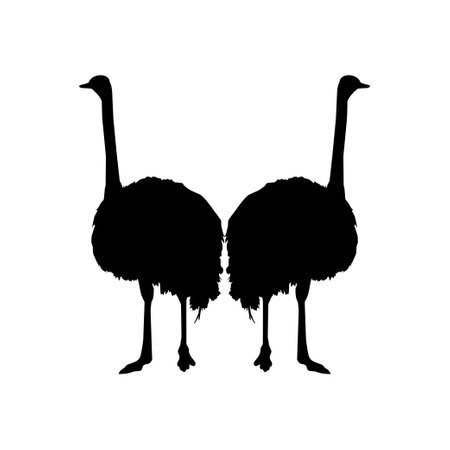 Hanging Bloody Woman Legs on the Tree. Dramatic, Creepy, Horror, Scary, Mystery, or Spooky Illustration. Illustration for Horror Movie or Halloween Poster Design Element. Vectorのイラスト素材