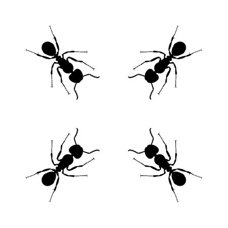 Colony of the Ant Silhouette for Art Illustration, Logo, Pictogram, Website, or Graphic Design Element. Vector Illustrationのイラスト素材