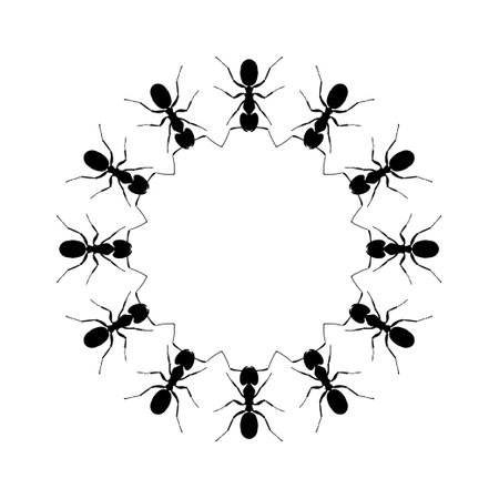 Colony of the Ant Silhouette Circle Shape Composition for Art Illustration, , Pictogram, Website, or Graphic Design Element. Vector Illustrationのイラスト素材