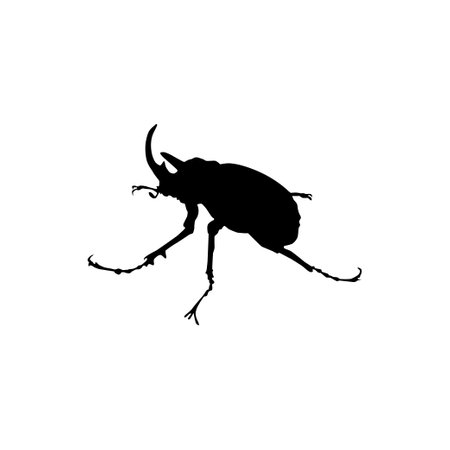 Silhouette of the Horn Beetle or Oryctes Rhinocerus, Dynastinae, can use for Art Illustration, , Pictogram, Website, Apps or Graphic Design Element. Vector Illustrationのイラスト素材