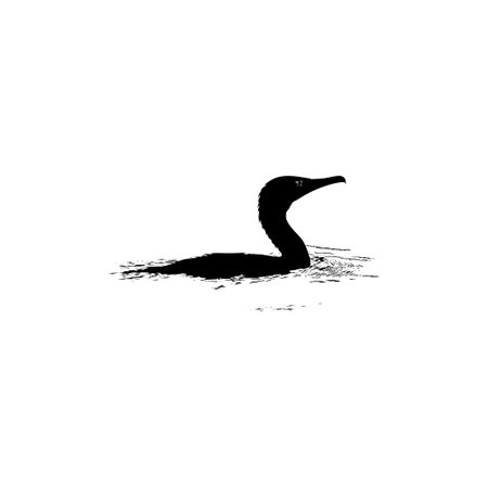 The Black Heron Bird (Egretta Ardesiaca) on the water, also known as the Black Egret Silhouette for Art Illustration, Logo, Pictogram, Website, or Graphic Design Element. Vectorのイラスト素材