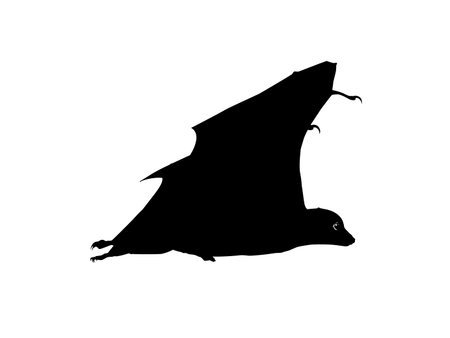Silhouette of the Flying Fox or Bat for Art Illustration, Icon, Symbol, Pictogram, Logo, Website, or Graphic Design Element. Vector Illustrationのイラスト素材