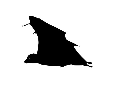 Silhouette of the Flying Fox or Bat for Art Illustration, Icon, Symbol, Pictogram, Logo, Website, or Graphic Design Element. Vector Illustrationのイラスト素材