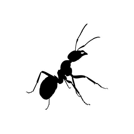 Ant Silhouette for Art Illustration, Logo, Pictogram, Website, or Graphic Design Element. Vector Illustrationのイラスト素材