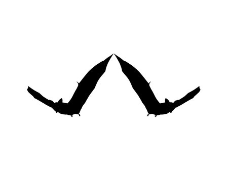 Silhouette of the Pair of Flying Fox or Bat for Art Illustration, Icon, Symbol, Pictogram, Logo, Website, or Graphic Design Element. Vector Illustrationのイラスト素材