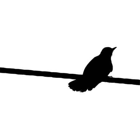 Silhouette of the Bird Perched on the Electrical Wire Base on my Photography. Vector Illustrationのイラスト素材