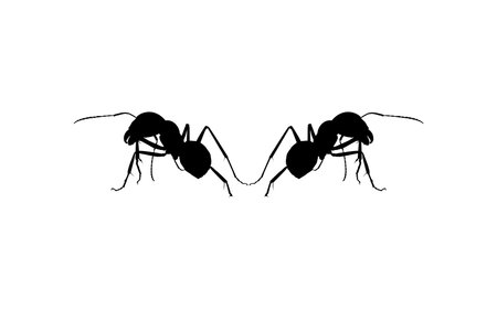 Pair of the Ant Silhouette for Art Illustration, Logo, Pictogram, Website, or Graphic Design Element. Vector Illustrationのイラスト素材