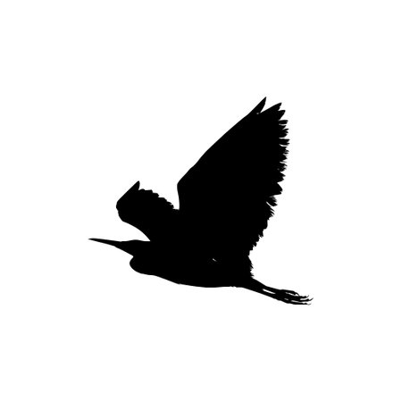 The Black Heron Bird (Egretta Ardesiaca), also known as the Black Egret Silhouette for Art Illustration, Logo, Pictogram, Website, or Graphic Design Element. Vector Illustrationのイラスト素材