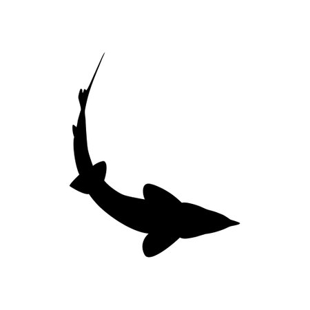 Beluga Sturgeon or Huso Fish Silhouette, Fish Which Produce Premium and Expensive Caviar, For Logo Type, Art Illustration, Pictogram, Apps, Website or Graphic Design Element.のイラスト素材