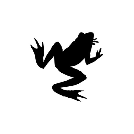 Frog Silhouette, can use for Logo Gram, Art Illustration, Pictogram, Website or Graphic Design Element. Vector Illustrationのイラスト素材