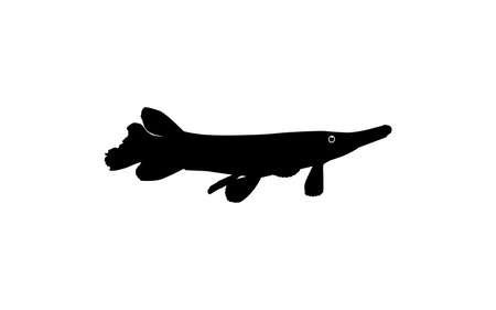 Alligator Fish Silhouette, can use for Art Illustration Logo Gram, Pictogram, Website, or Graphic Design Element. Vector Illustrationのイラスト素材