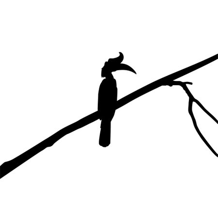 Great Horn Bird Silhouette Perched on the Branch Tree Silhouette. Vector Illustrationのイラスト素材
