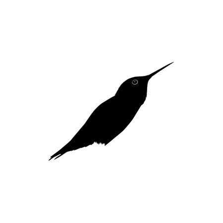 Flying Hummingbird Silhouette, can use Art Illustration, Website, Logo Gram, Pictogram or Graphic Design Element. Vector Illustrationのイラスト素材