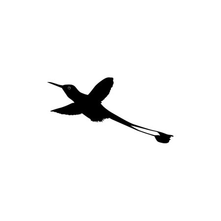 Flying Hummingbird Silhouette, can use Art Illustration, Website, Logo Gram, Pictogram or Graphic Design Element. Vector Illustrationのイラスト素材