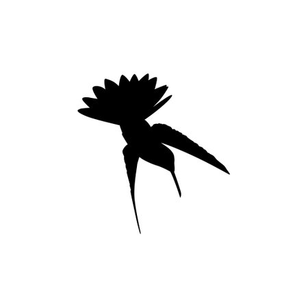Flying Hummingbird Silhouette, can use Art Illustration, Website, Logo Gram, Pictogram or Graphic Design Element. Vector Illustrationのイラスト素材