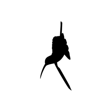 Flying Hummingbird Silhouette, can use Art Illustration, Website, Logo Gram, Pictogram or Graphic Design Element. Vector Illustrationのイラスト素材