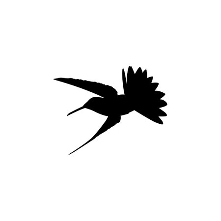 Flying Hummingbird Silhouette, can use Art Illustration, Website, Logo Gram, Pictogram or Graphic Design Element. Vector Illustrationのイラスト素材