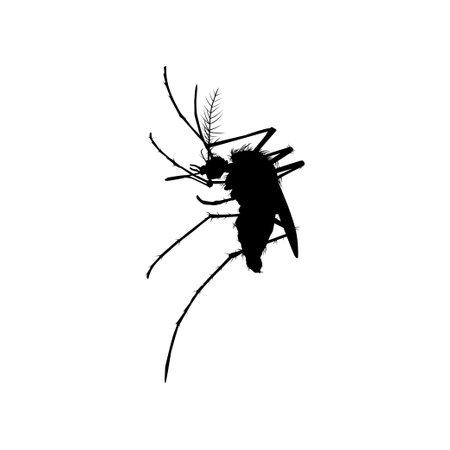 Mosquito Silhouette, can use for Art Illustration Pictogram, Website, and Graphic Design Element. Vector Illustrationのイラスト素材