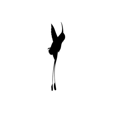 Flying Hummingbird Silhouette, can use Art Illustration, Website, Logo Gram, Pictogram or Graphic Design Element. Vector Illustrationのイラスト素材