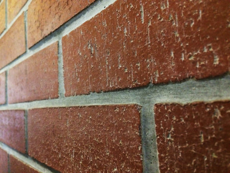 Brick Wall Side View