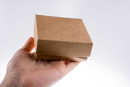 Hand holding cardboard Box on a white background