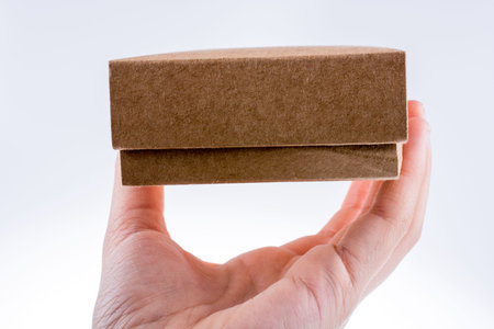 Hand holding cardboard Box on a white background