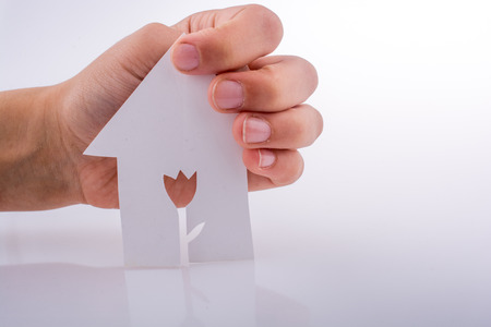 Hand holding a paper house with a flower shape carved in it on a white backgroundの写真素材