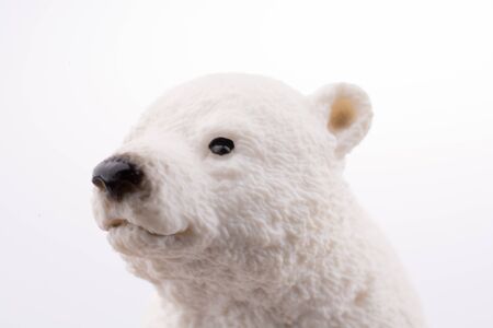 White Polar bear modelの写真素材
