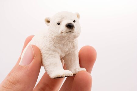 Hand holding White Polar bear modelの写真素材