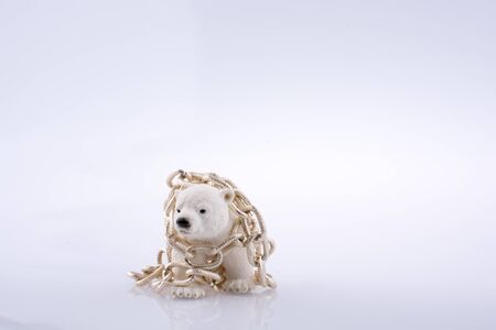 Polar bear cub inchain on a white backgroundの写真素材