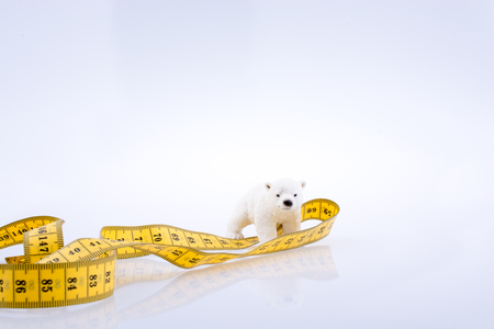 Polar bear surrounded by Measuring tape on a white backgroundの写真素材