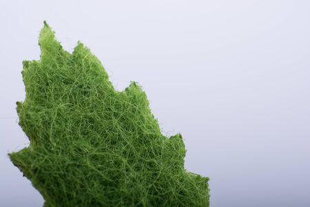One separate green fake leafの写真素材