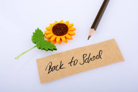 Pen, flower and back to school title on a notebookの写真素材