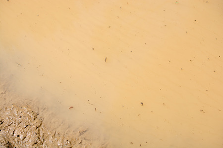 Background of dirty  muddy water texture in the  pondの写真素材