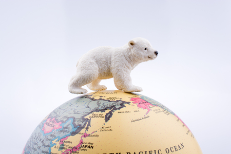Polar bear on the top of the globe on white backgroundの写真素材