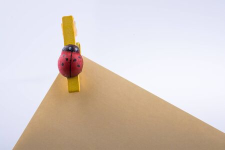 Note paper with a ladybug icon on a white backgroundの写真素材