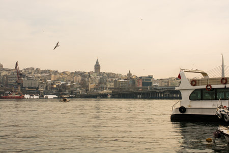 View of the Galata Tower from the Golden Horn of Istanbulのeditorial素材