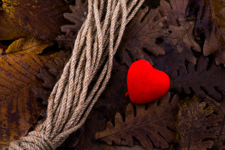 Rope and a heart shaped icon on dry leaves of autumn backgroundの写真素材